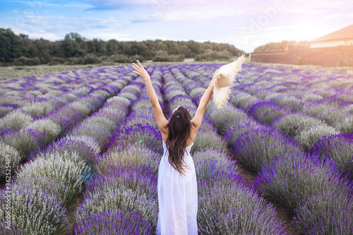 Fototapeta Naklejka Na Ścianę i Meble -  Unrecognizable young woman standing on lavender field. Lady in summertime