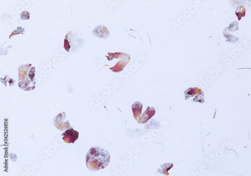 Handmade Paper With Dried Flower Petals
