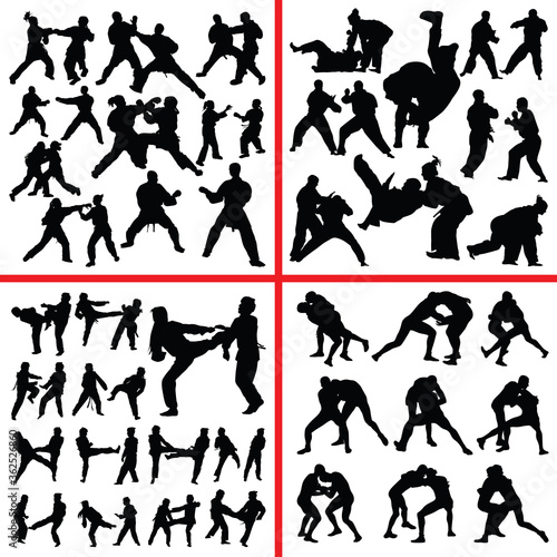 martial art mix