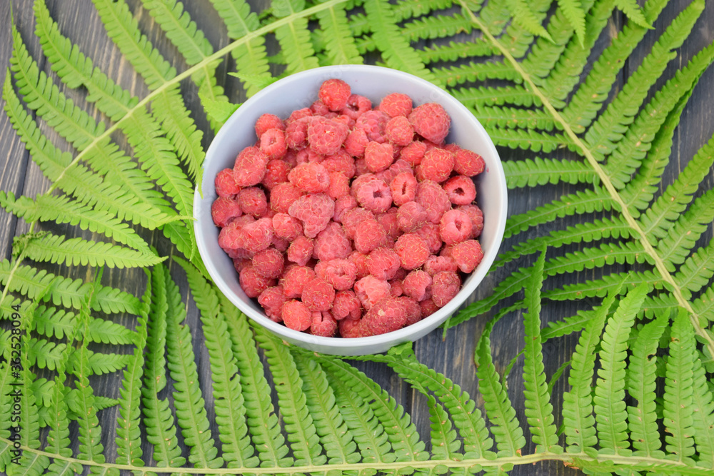 Ripe raspberries in a plate on a background of fern Ripe raspberries in a plate on a background of fern