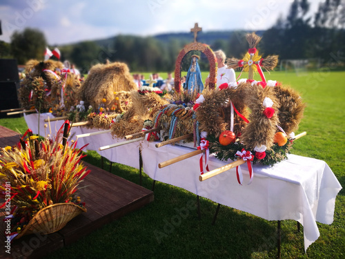 Harvest fest. Artistic look in vivid colours.