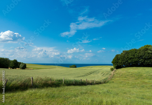 rural landscape by the baltic sea near Kiel