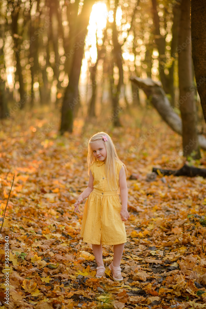 Little girl in a yellow dress in the autumn park. Little girl in a yellow dress in the autumn park.