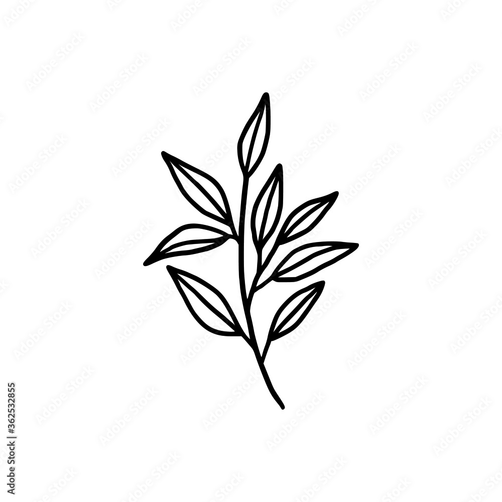 Hand drawn monochrome plant, leaf logo element. Symbol, greeting cards, botanical icon, or banner. Summer, spring, and autumn botany element