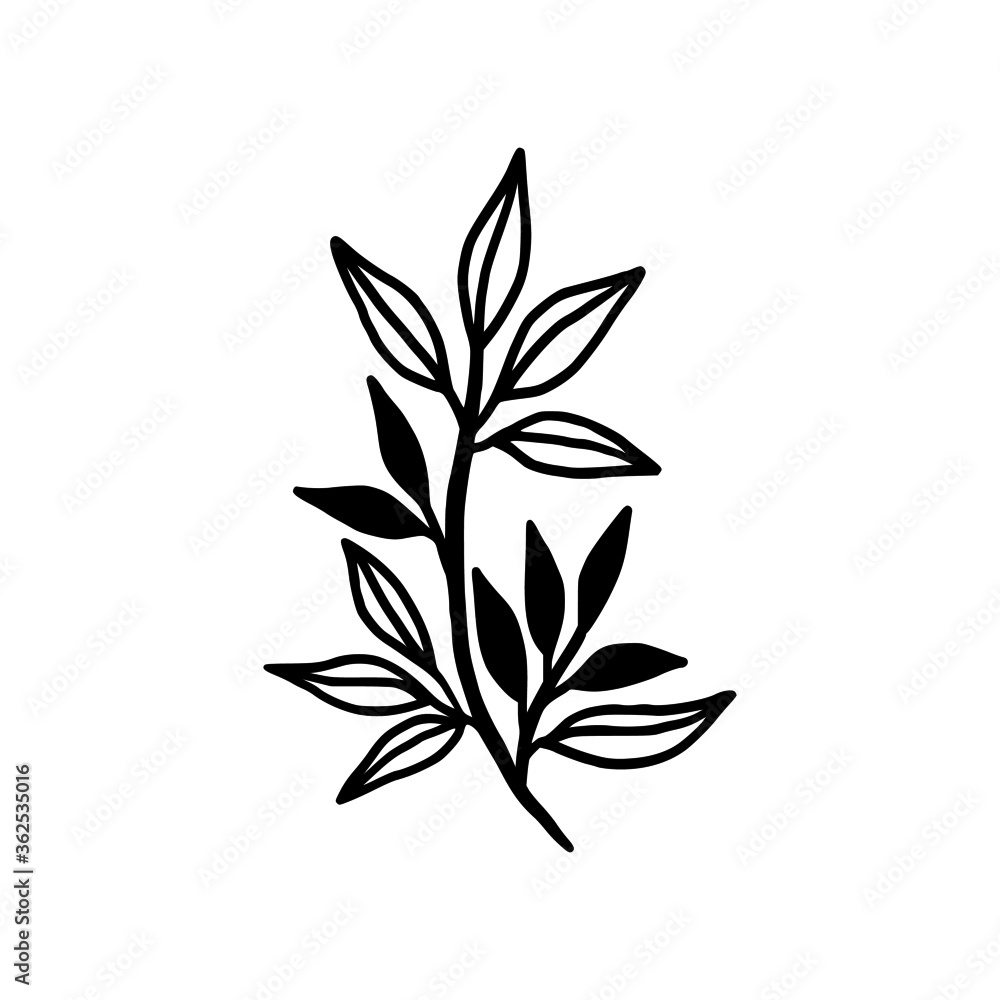 Hand drawn monochrome plant, leaf logo element. Symbol, greeting cards, botanical icon, or banner. Summer, spring, and autumn botany element