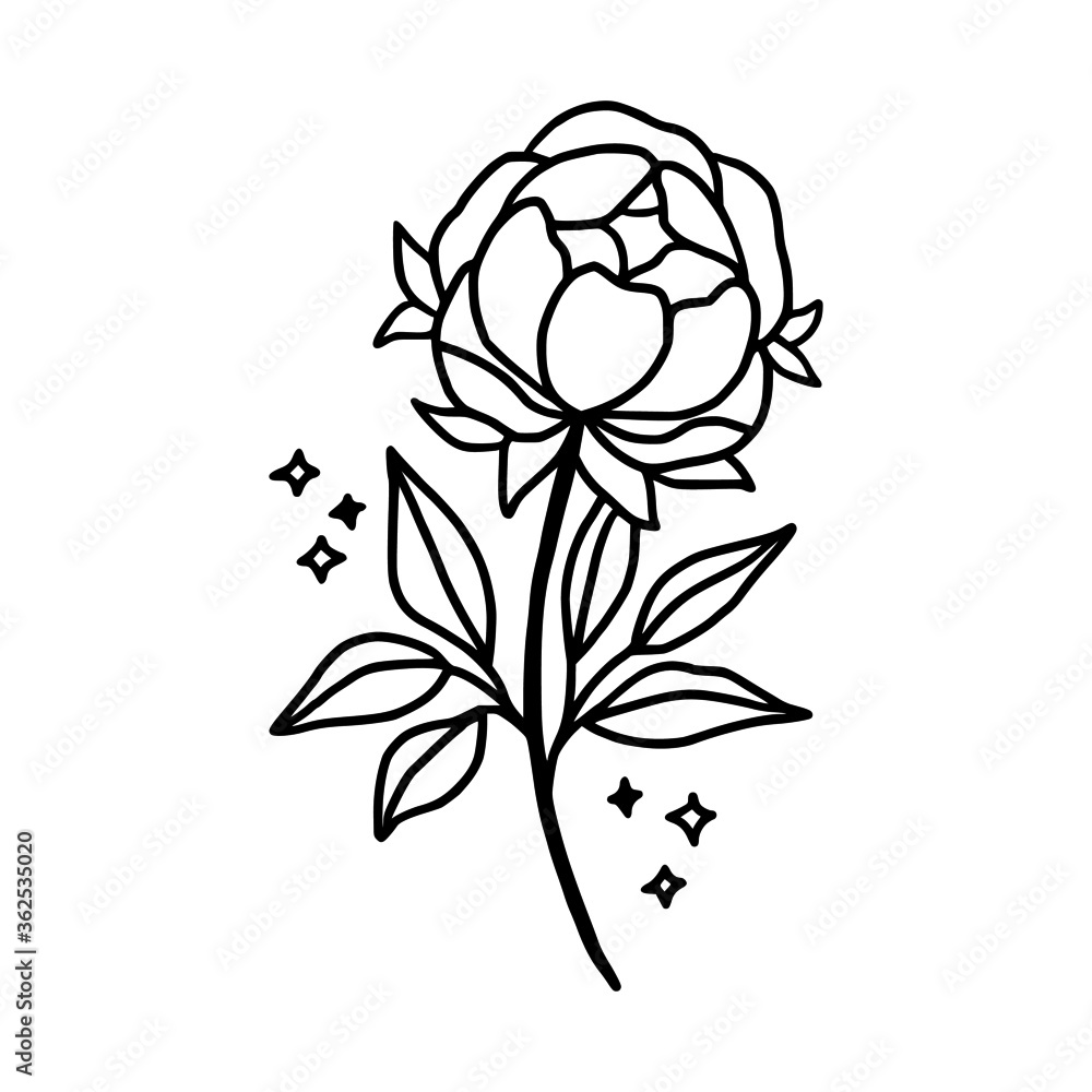Hand drawn rose, peony flower and botanical leaf branch illustration. Black line art vector feminine logo. Symbol and icon for wedding, business card, cosmetics, jewel, brand, and beauty products Hand drawn rose, peony flower and botanical leaf branch illustration. Black line art vector feminine logo. Symbol and icon for wedding, business card, cosmetics, jewel, brand, and beauty products