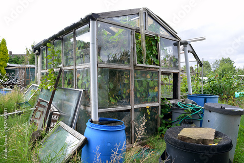 Abandoned greenhouse overgrown with weeds