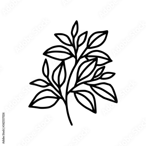 Hand drawn monochrome plant, leaf logo element. Symbol, greeting cards, botanical icon, or banner. Summer, spring, and autumn botany element © Artflorara