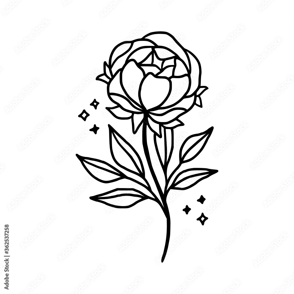 Obraz premium Hand drawn peony flower element. Floral line art for feminine beauty logo, icon, business card, wedding invitation, or decoration