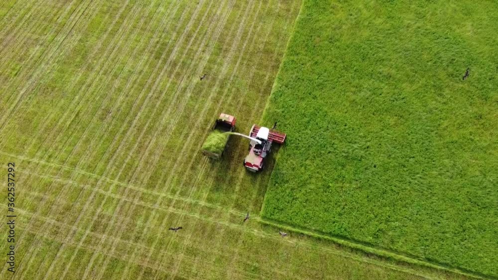Aerial photography. Wide and close-up shots of a harvester cutting green grass. The concept of sustainable biofuels and organic food. Aerial photography. Wide and close-up shots of a harvester cutting green grass. The concept of sustainable biofuels and organic food.