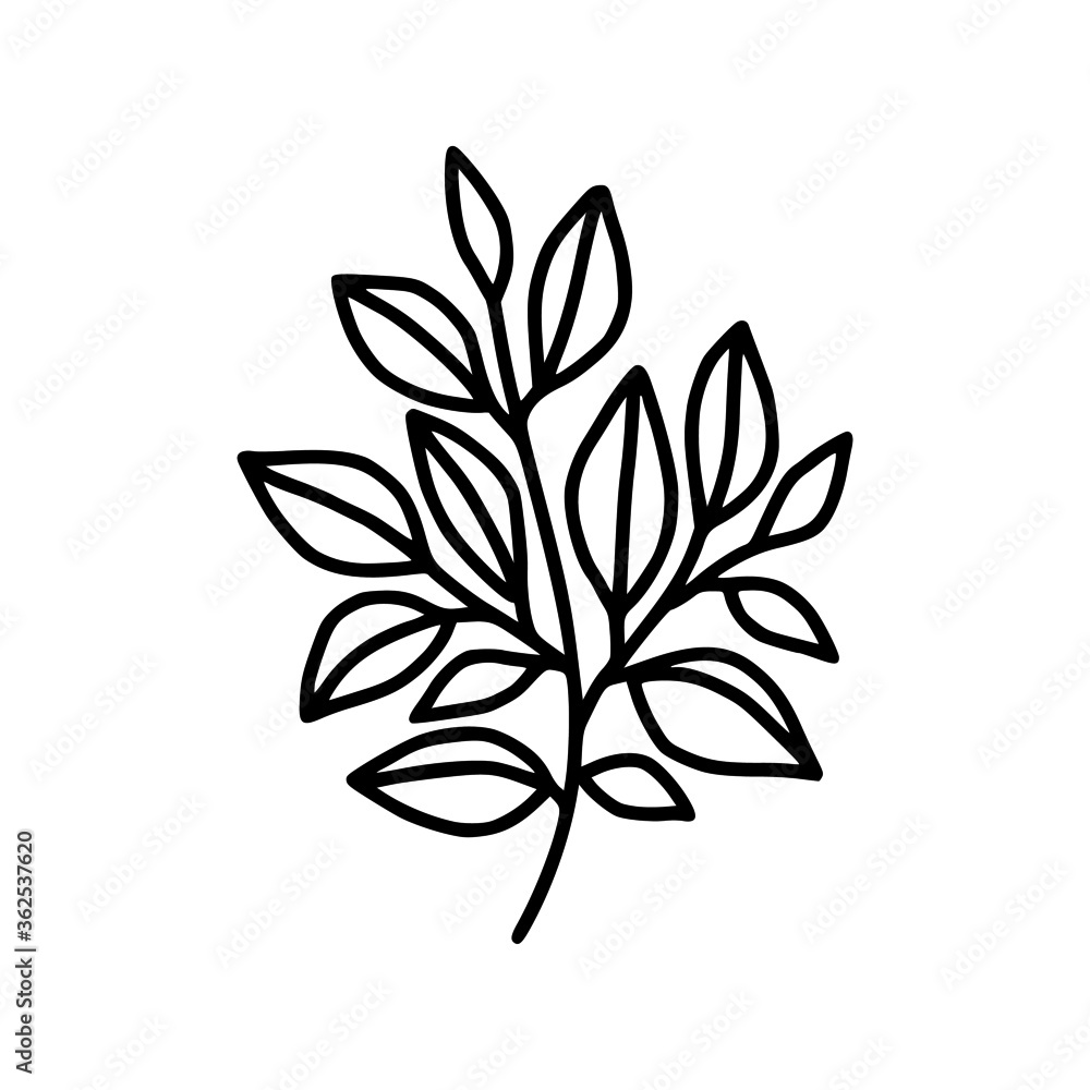 tiny simple botanical leaf illustration, line art, minimal design element. elegant and delicate monochrome plant for branding, wedding invitation, floral clip art, feminine beauty logo or icon tiny simple botanical leaf illustration, line art, minimal design element. elegant and delicate monochrome plant for branding, wedding invitation, floral clip art, feminine beauty logo or icon