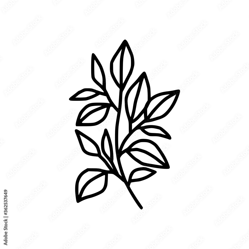 tiny simple botanical leaf illustration, line art, minimal design element. elegant and delicate monochrome plant for branding, wedding invitation, floral clip art, feminine beauty logo or icon