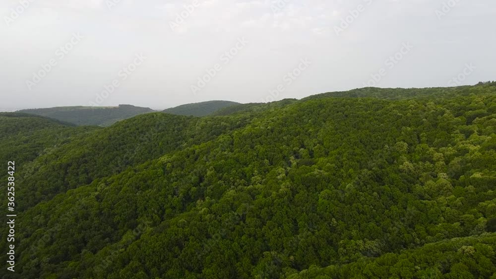 Aerial drone view of big green dense forest in countryside in desert with green vegetation. Summer aerial view of a beautiful rural landscape. Aerial drone view of big green dense forest in countryside in desert with green vegetation. Summer aerial view of a beautiful rural landscape.