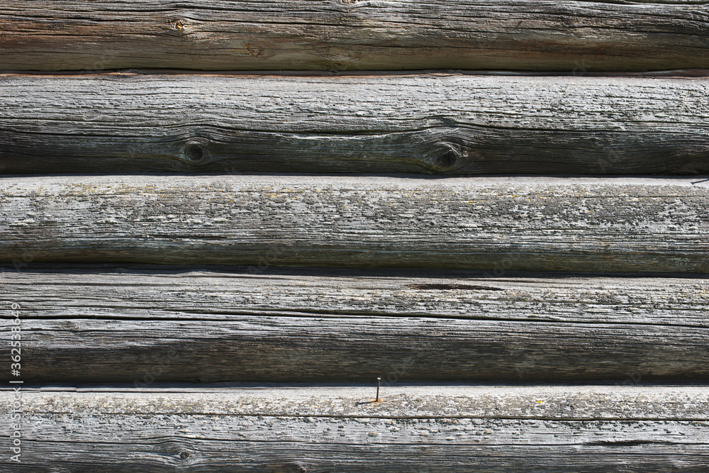 Wall of old logs Wall of old logs