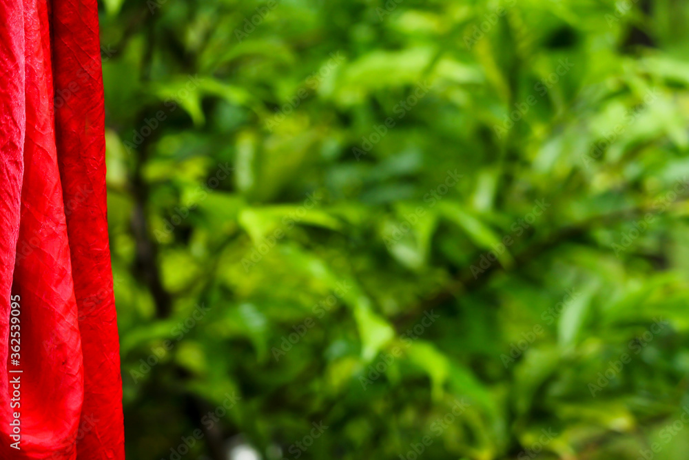 Red clothe and green nature blur background Red clothe and green nature blur background