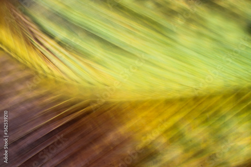 Beautiful nature camera shake and blur background image 