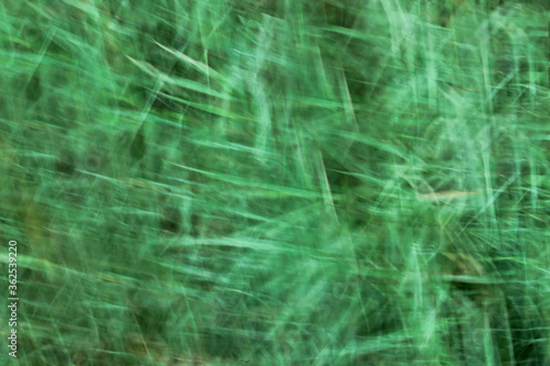 Green color camera shake and blur background image  © D with SLR