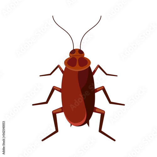 Cockroach vector icon isolated on white background. Brown roach bug logo symbol. Flat design cartoon style beetle illustration.