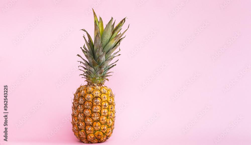 Pineapple pink  background. Banner. - obrazy, fototapety, plakaty 
