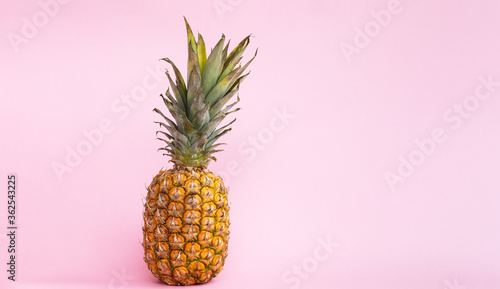 Pineapple pink  background. Banner.