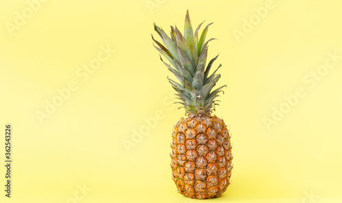 Pineapple yellow background. Banner.