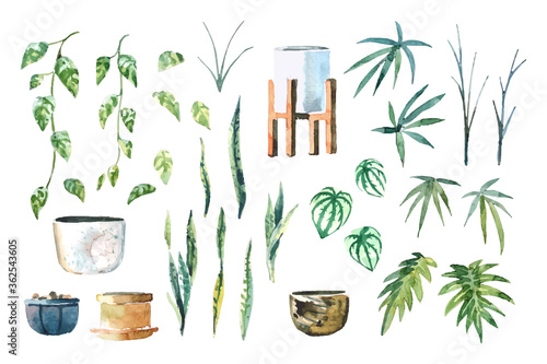  Water color indoor plants (Pothos, Snake Plant, Peperomia, Lady Palm and Xanadu) arrange isolated set on white background illustration vector. Suitable for various design elements. 