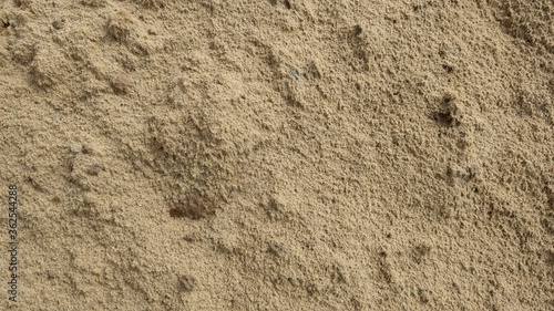 Sand texture. Background of fine river sand.
