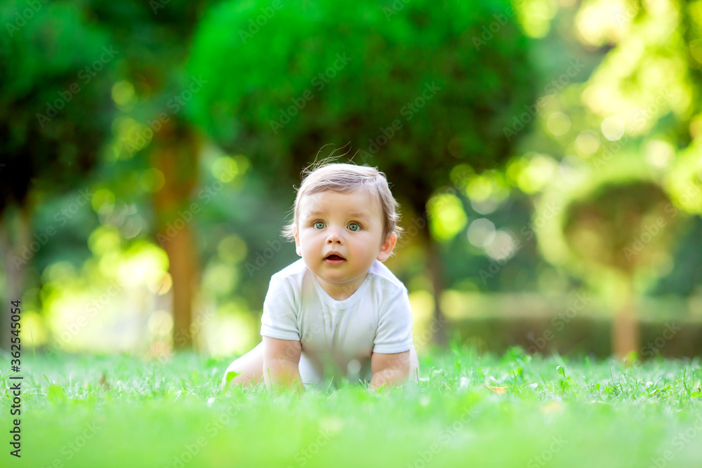 Cute kid in white bodysuit learns to crawl. Healthy toddler crawls on green grass in summer Cute kid in white bodysuit learns to crawl. Healthy toddler crawls on green grass in summer