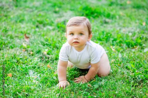 Cute kid in white bodysuit learns to crawl. Healthy toddler crawls on green grass in summer