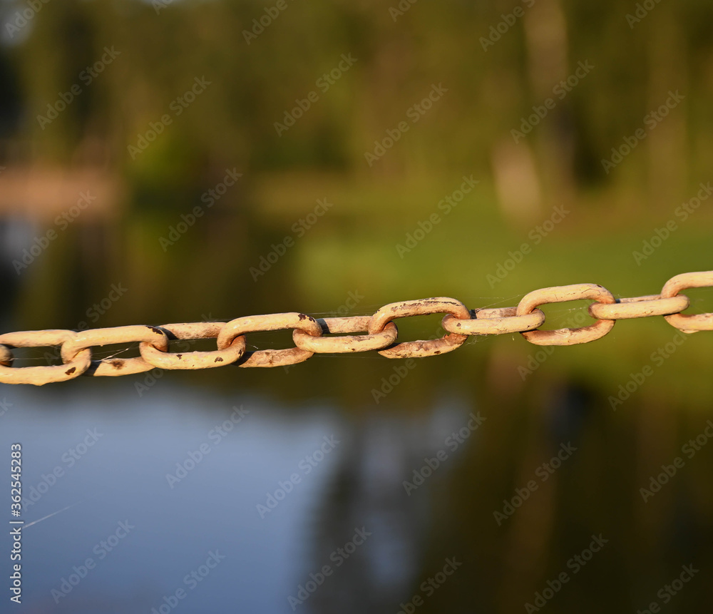 Obraz premium closeup on a hanging chain covered with cobweb