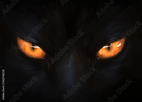 Fototapeta Naklejka Na Ścianę i Meble -  Cat eyes in darkness