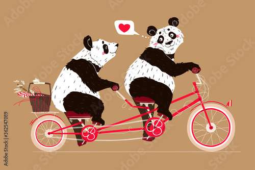 vector illustration of a panda with bicycle