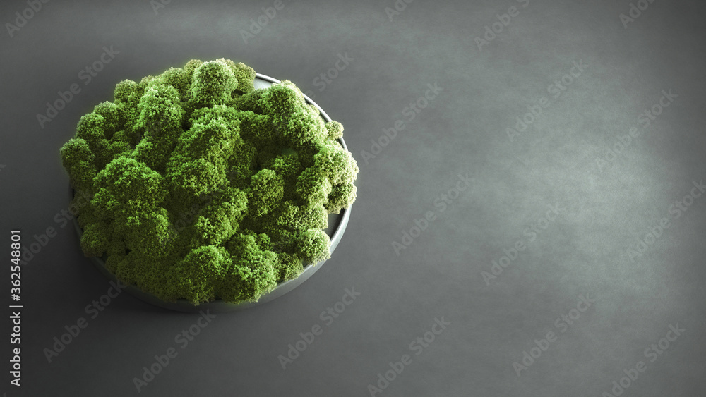 3D illustration of a green island on a plate 3D illustration of a green island on a plate