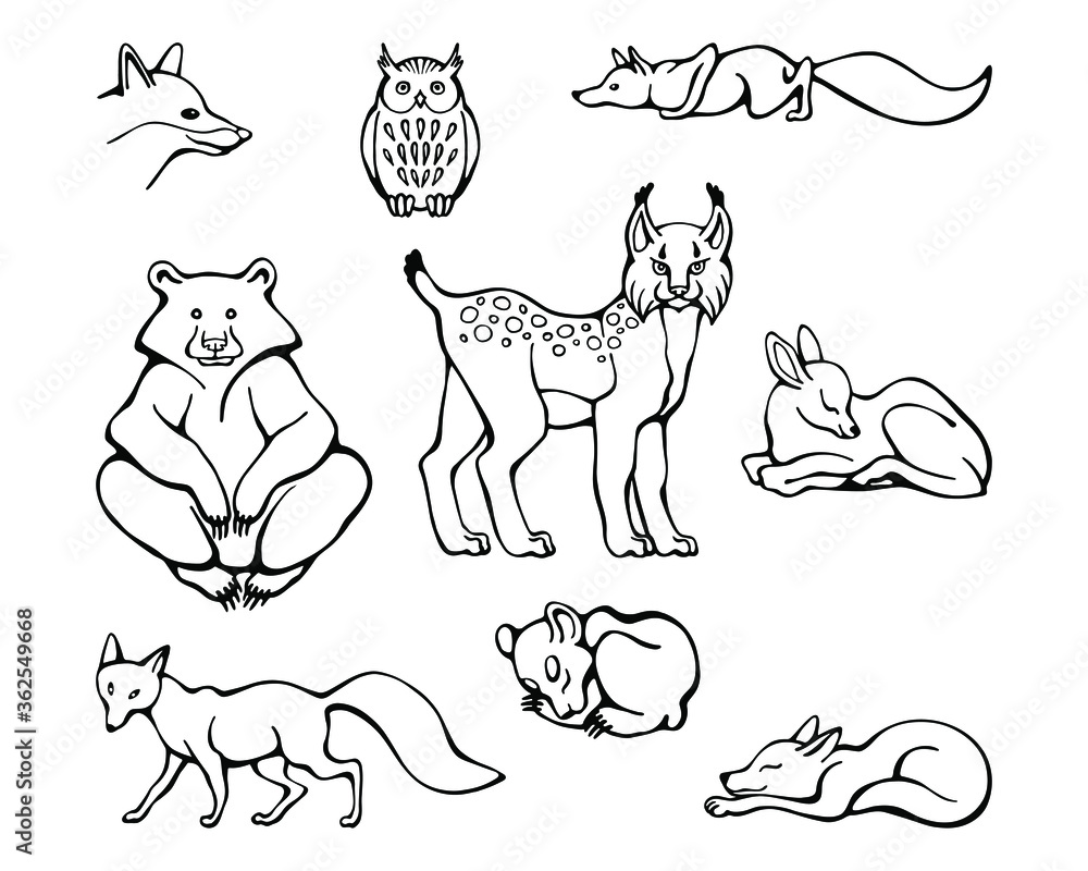 Vector set of forest animals. Hand drawn stock illustration of creatures isolated on a white background. Fox, bear, deer, owl, lynx.