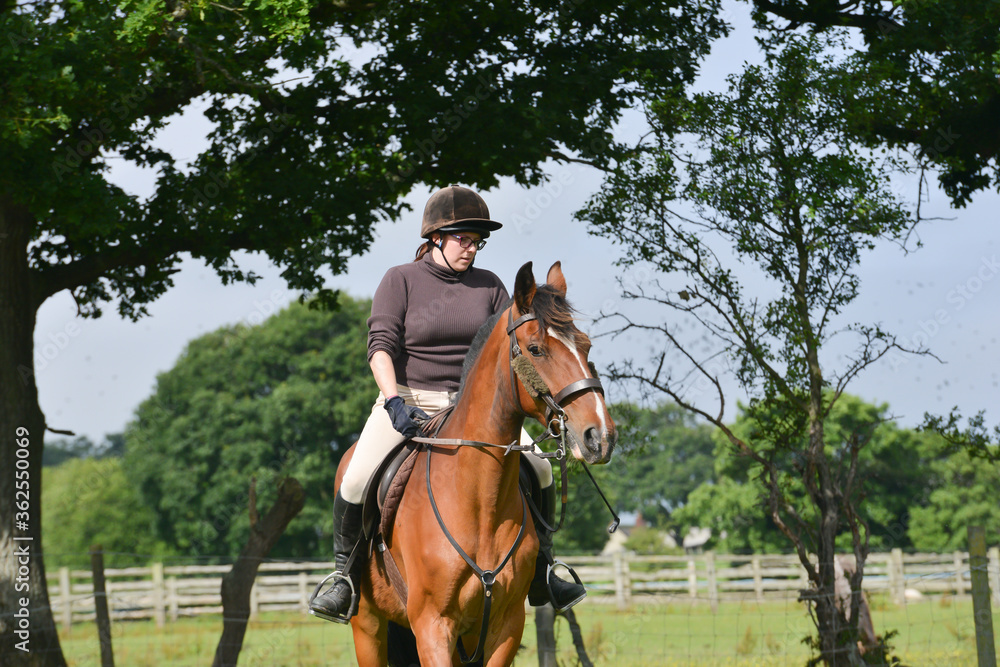 Pretty horse, pretty girl riding in English country on a summers day. Pretty horse, pretty girl riding in English country on a summers day.