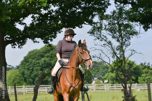 Pretty horse, pretty girl riding in English country on a summers day.