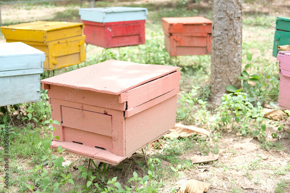 honey bee beehive. bees house honey bee beehive. bees house