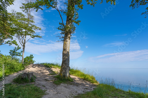 View from the cliff near Weissenhaeuser Strand, Germany