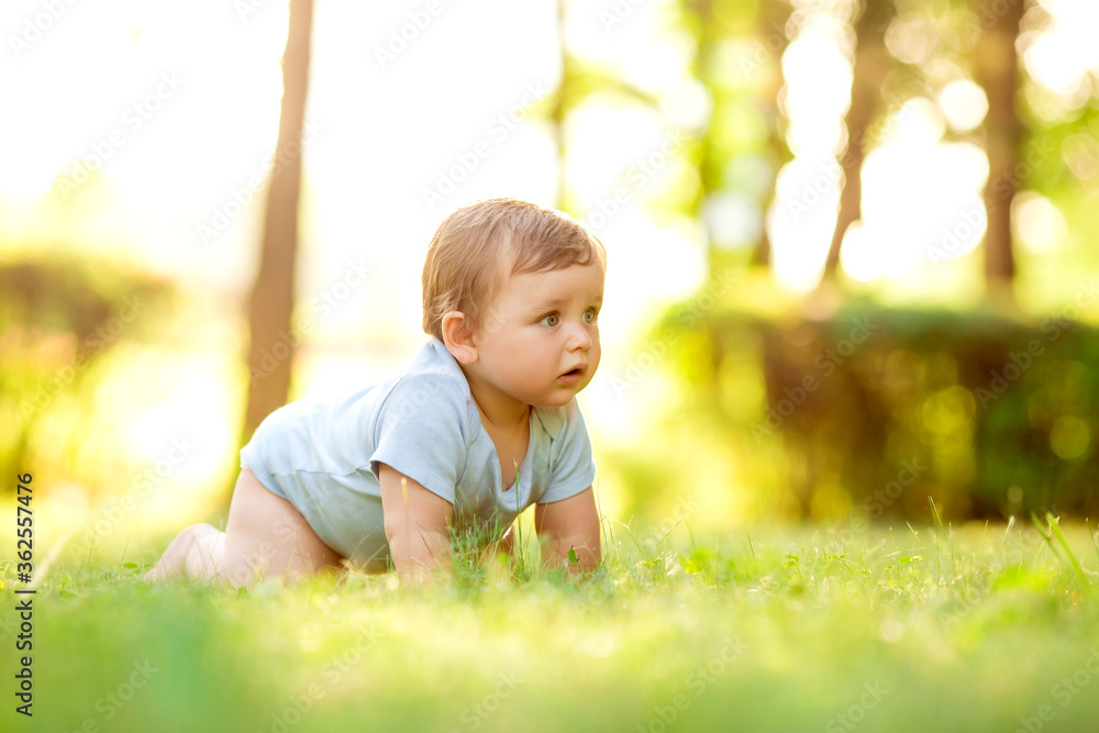 Cute baby boy 10 months in blue bodysuit learns to crawl on the grass in summer Cute baby boy 10 months in blue bodysuit learns to crawl on the grass in summer