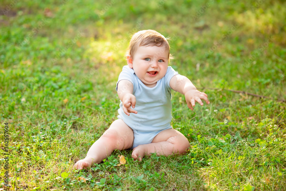 Cute baby boy 10 months in blue bodysuit learns to crawl on the grass in summer
