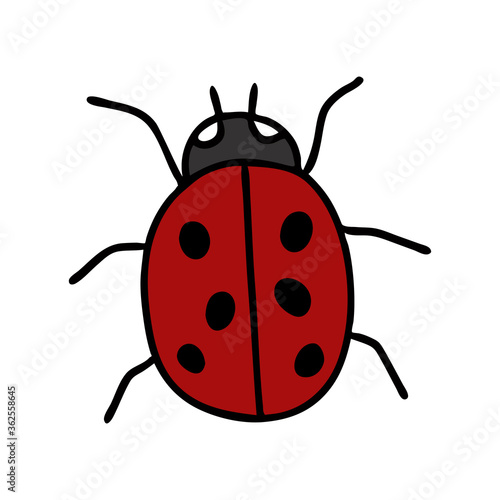 A Doodle-style ladybug isolated on a white background. Family of beetles. Convex oval body with black spots. Can be used for printing on t-shirts or other clothing or fabric. Vector illustration. © Regina