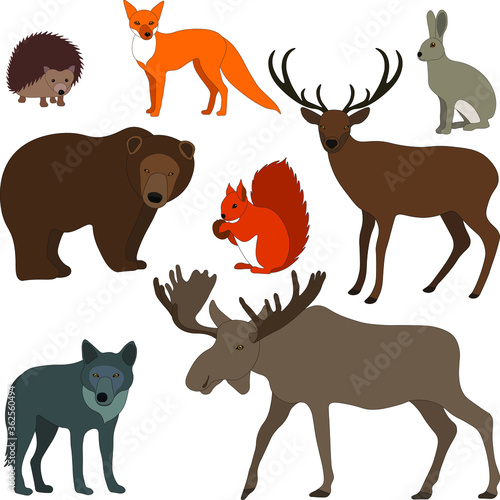 Set of animals: fox, wolf, bear, elk, deer, hedgehog, squirrel, hare; flat vector, wild animals © Liudmyla