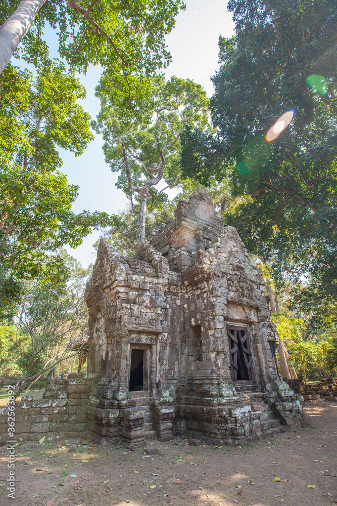 Ancient Preah Palilay temple in Angkor Thom and huge Banyan trees. Angkor, Cambodia.