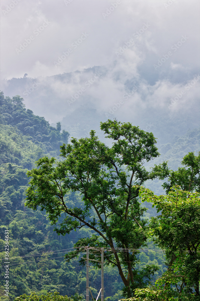 Top of the mountain covered with cloud in Rishikesh in Indian himalayas terrain Top of the mountain covered with cloud in Rishikesh in Indian himalayas terrain