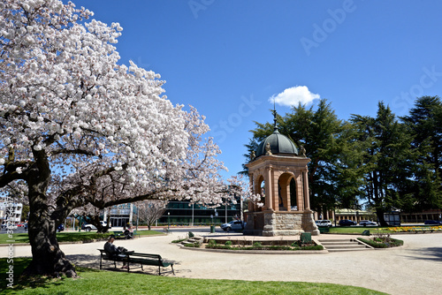 Tableau sur toile A view in Machattie Park in Bathurst, Australia