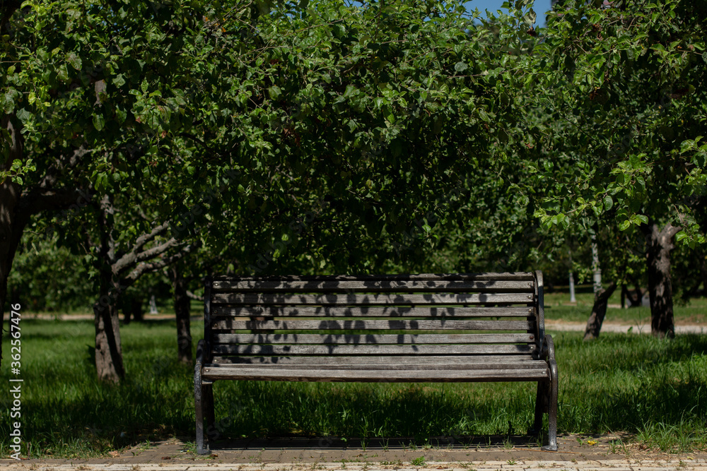 wooden bench in a large garden wooden bench in a large garden