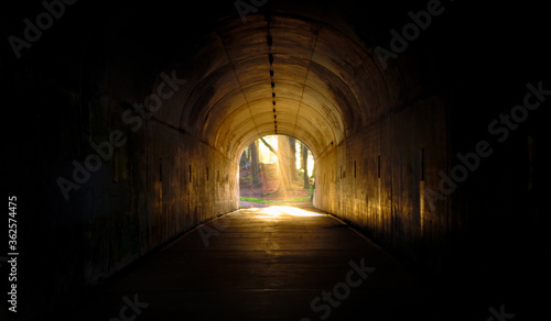 The light at the end of the tunnel Shot at Hawk hill  marin headlands  San Francisco area  California