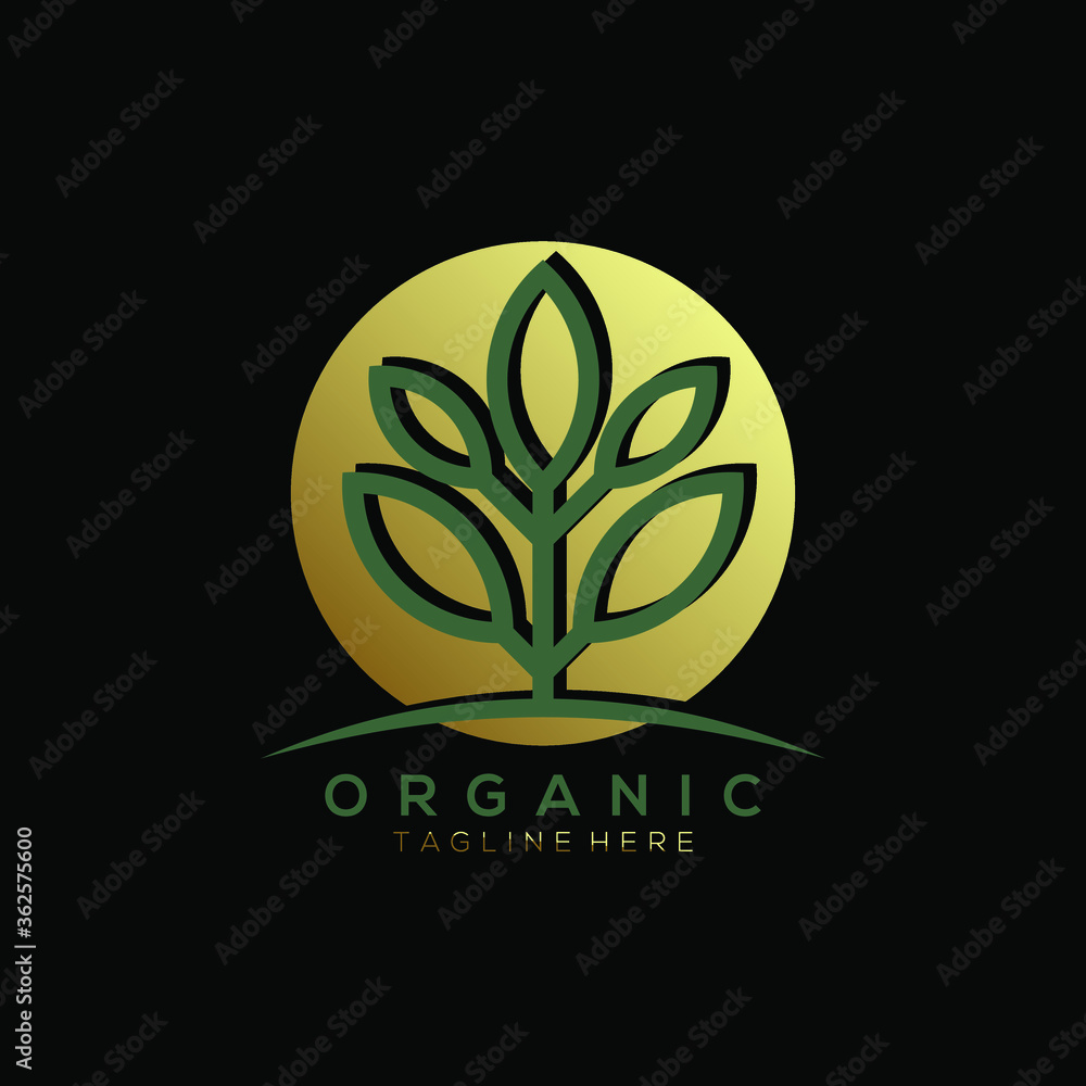 Fototapeta premium green leaf plant vector logo with gold background