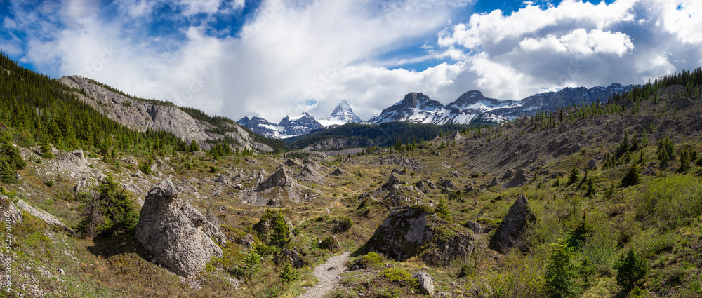 Hiking Trail in the Iconic Mt Assiniboine Provincial Park near Banff, Alberta, Canada. Canadian Mountain Landscape Background Panorama. Hiking Trail in the Iconic Mt Assiniboine Provincial Park near Banff, Alberta, Canada. Canadian Mountain Landscape Background Panorama.
