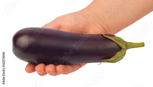 eggplant in hand isolated on white background